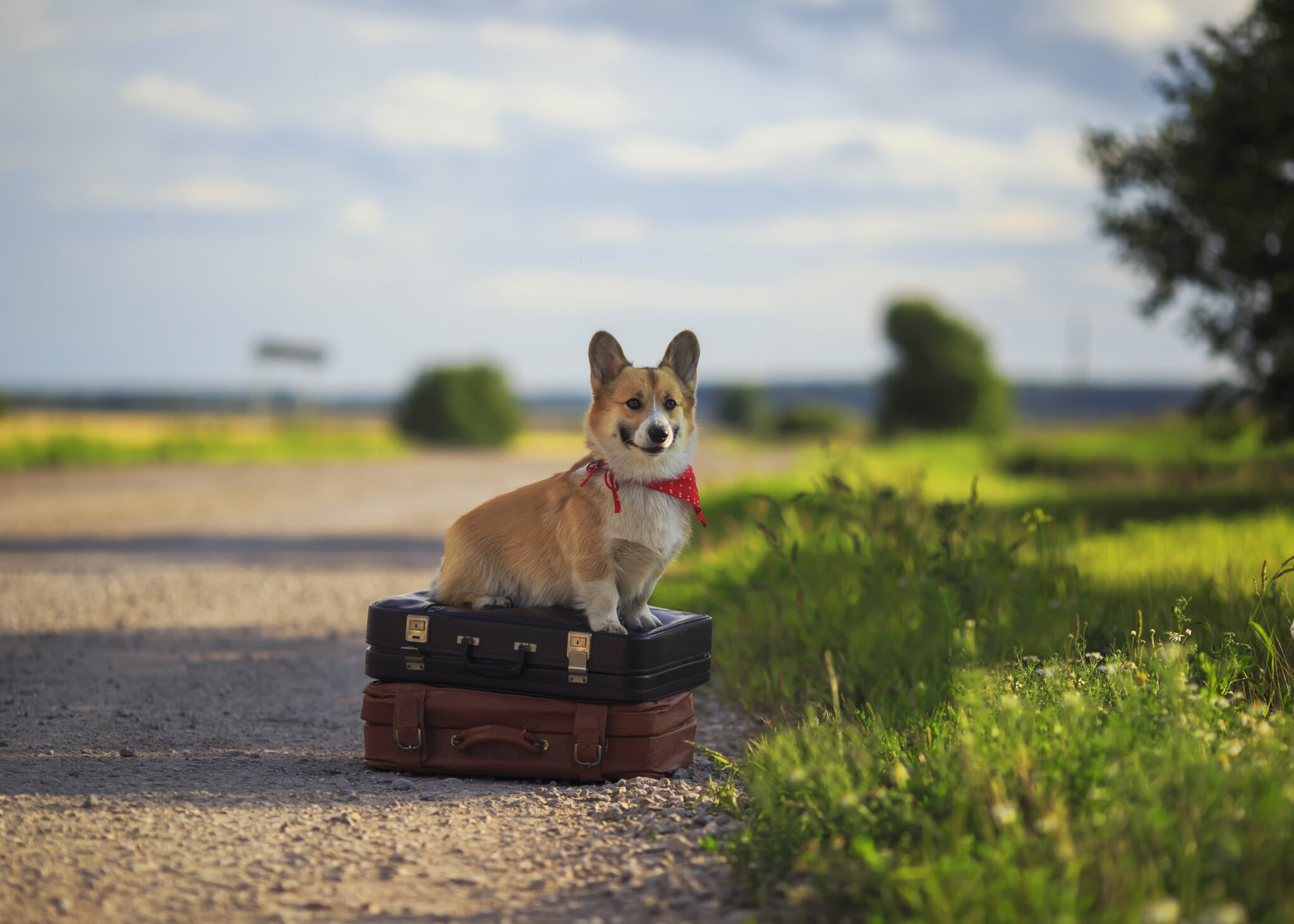 Pakiet CORGI - aktywne wyjazdy z indywidualnie dobranym planem na każdy dzień