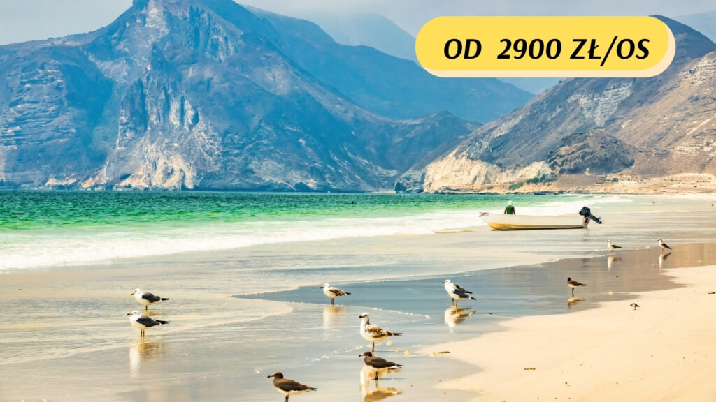 Plaża w Omanie w okolicach Maskatu z jasnym piaskiem i turkusową wodą